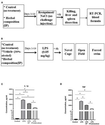 Immunomodulatory effects of new phytotherapy on human macrophages and TLR4- and TLR7/8-mediated viral-like inflammation in mice